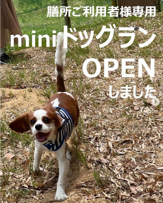 大多喜　miniドッグラン